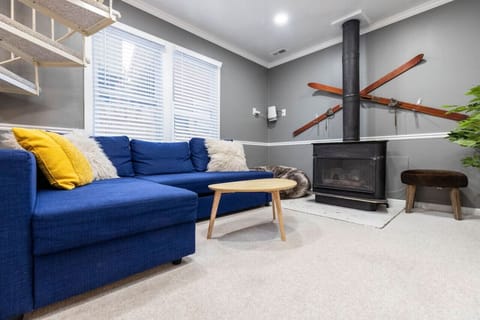 Living area with fireplace