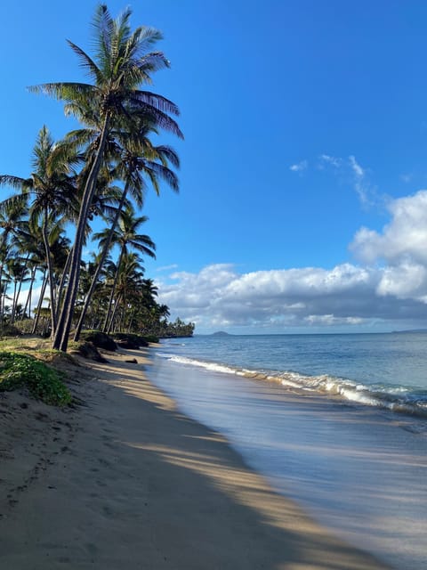 Beach in front of property.
