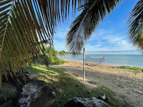 Beach volley net
