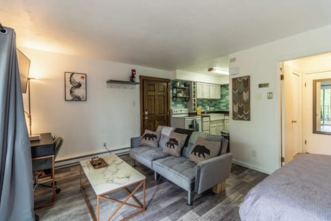 Studio Condo at Purgatory