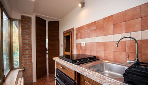 Comfort Villa, Lake View | Private kitchen | Electric kettle, toaster, freezer