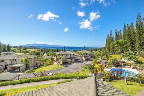 View from the lanai/patio of the vacation rental