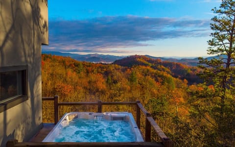 Dragonfly - aerial hot tub view