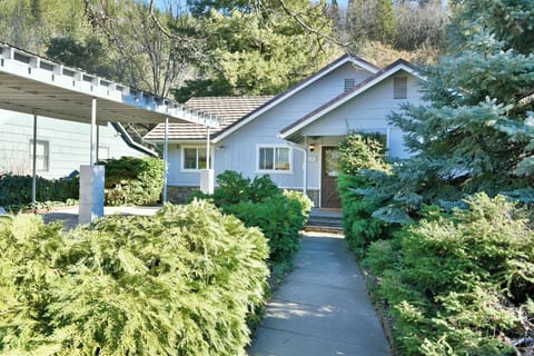 Front yard