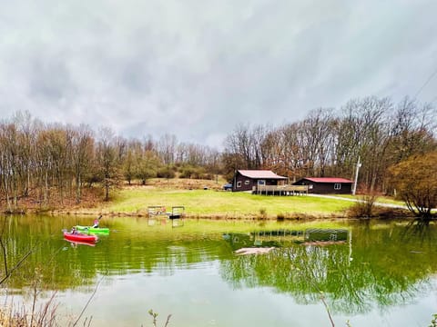 15 acres to explore! Grab a kayak and paddle around the pond.