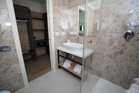 Shower, rainfall showerhead, hair dryer, bidet