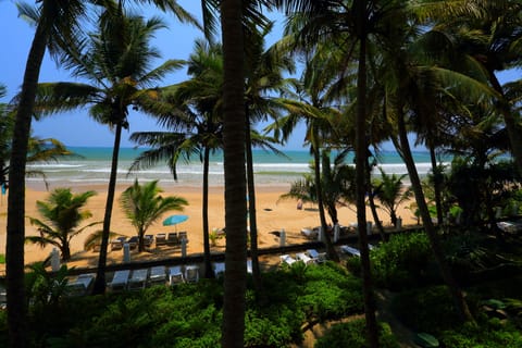 On the beach, scuba diving, surfing