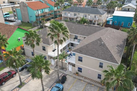 Vibrant Coastal Retreat with Pool, Palm Trees & Colorful Views – Walk to Beach, Sleeps 6+