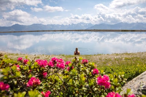 Surroundings [summer] (1-5 km)