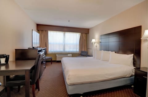 Standard Room, 1 King Bed | Desk, blackout drapes, iron/ironing board, free WiFi