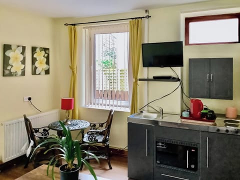 Open plan living space | Heddfan Annexe, Llanboidy, Whitland