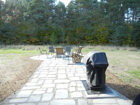 Large Firepit and Gas Grill