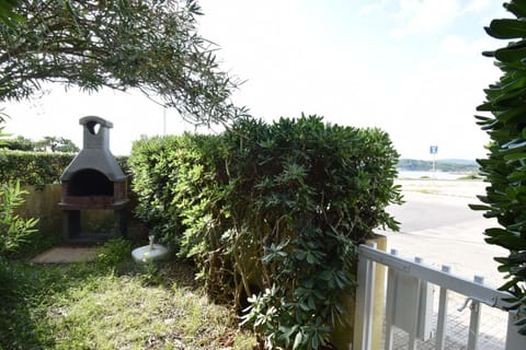 Autumn, Garden, Spring, Summer