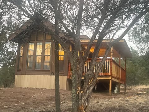 Tiny, cozy cabin in the woods!