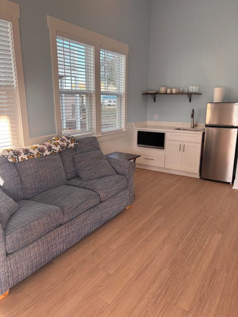 Living Room with pull out couch