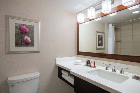 Designer toiletries, hair dryer, towels