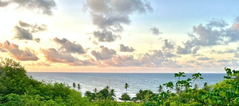 view from villa