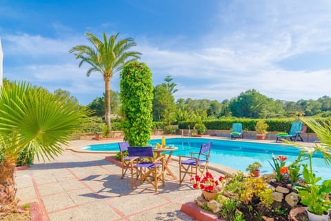Holiday Home Swimming Pool