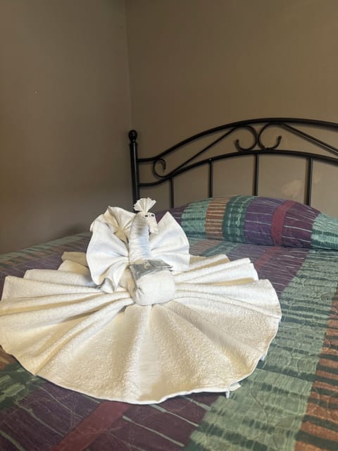 Comfort Single Room | Free WiFi