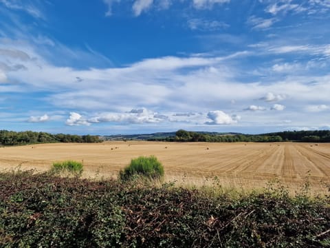 View from the decking