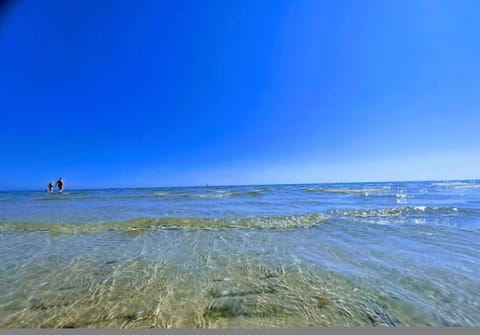 House | Water view