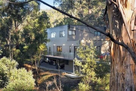 Contemporary modern located amongst the trees