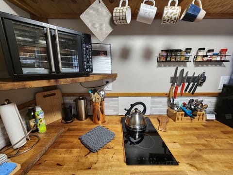 Convection/toaster oven and 2 burner electric stove for cooking.