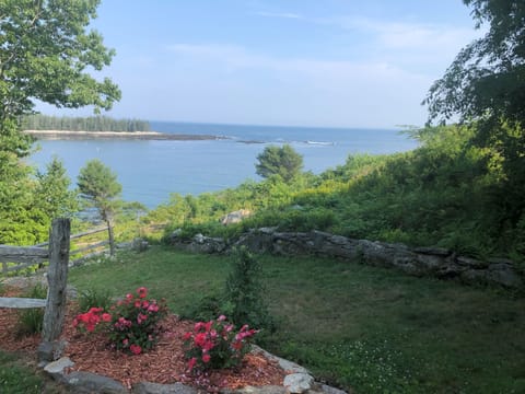 View front lawn