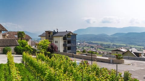 The house by the Mendelbahn valley station
