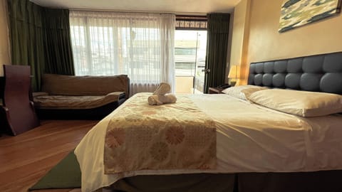 Standard Double Room, Private Bathroom, City View | Desk, laptop workspace, iron/ironing board (on request), WiFi (free)