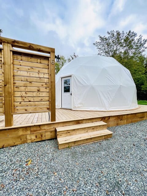 Dome #6