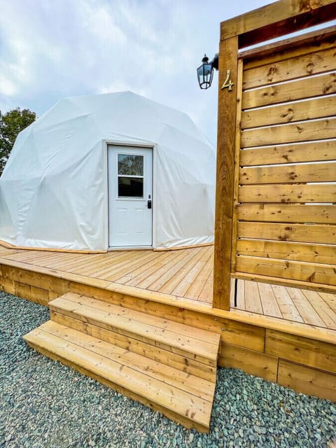 Dome #4