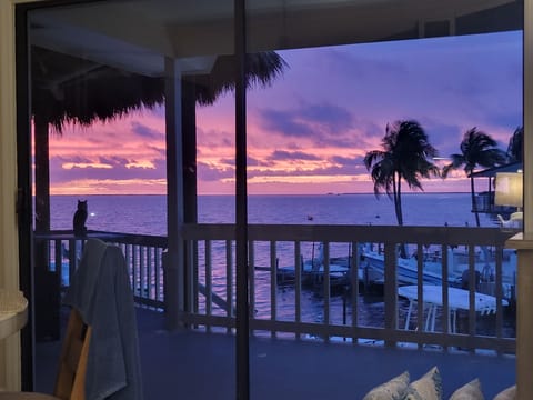 Evening view from the Living Room