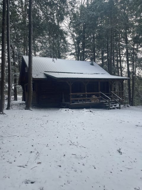 Back Yard View