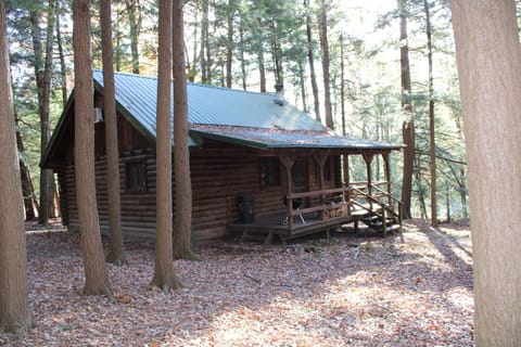 Back Porch and Yard area