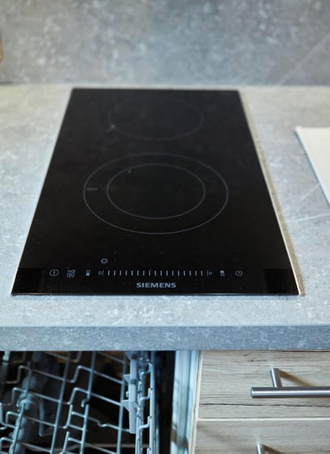 Classic Apartment, Non Smoking, Mountain View | Private kitchen | Full-size fridge, microwave, stovetop, dishwasher