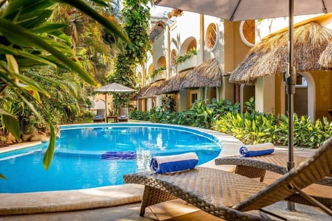 Outdoor pool, sun loungers