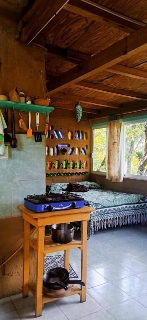 Classic Apartment, Mountain View | Private kitchen | Fridge, eco-friendly cleaning products