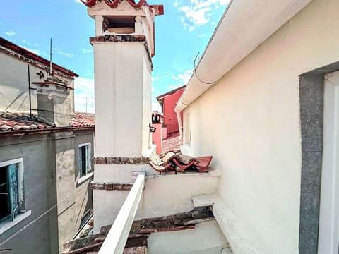 Composite Material, Paint, Daylighting