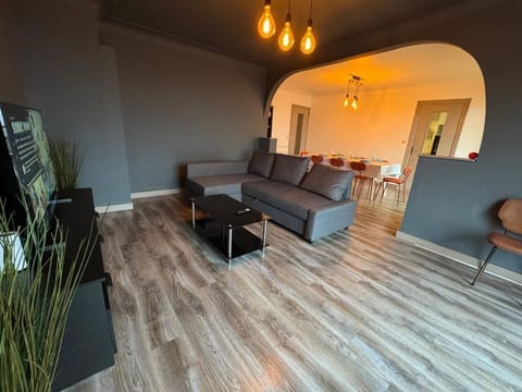 Living room with sofa bed and smart TV (1)