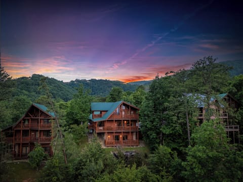 Our cabin is nestled amongst beautiful trees that open enough for a breathtaking view of the mountains from the top of Smoky Cove