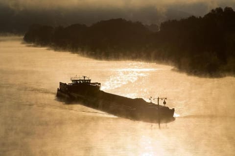 Region [summer] (>5 km)