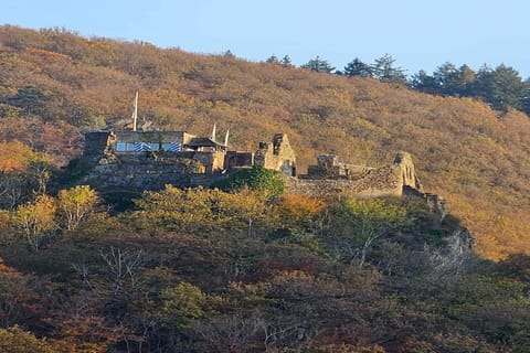 Region [summer] (>5 km)