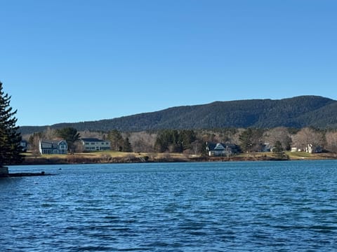 View of the property from the water
