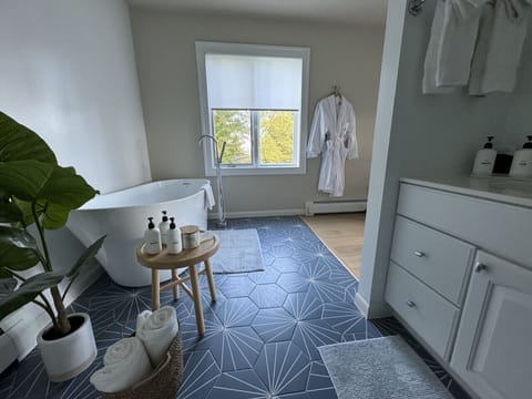 Soaking Tub & Bathroom Sink