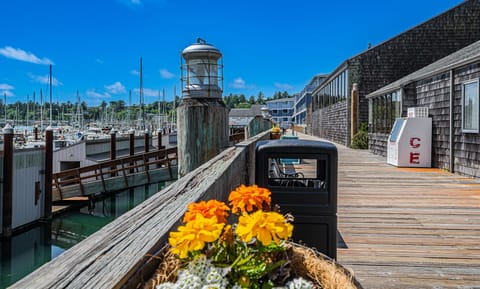 Explore the charming marina walkway, lined with flowers and inviting you to enjoy a peaceful afternoon by the sea.