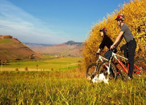 Apartment | View from property