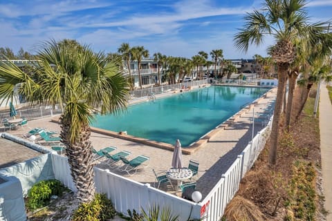 Sunlit pool overlooking the canal, lined with palms for a relaxed tropical feel.