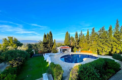 Elevated view of Villa Mandarin private swimming pool surrounded by manicured gardens with cypress trees, overlooking the Algarve countryside and sea views near Carvoeiro