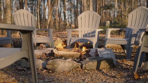 Firepit in the woods.